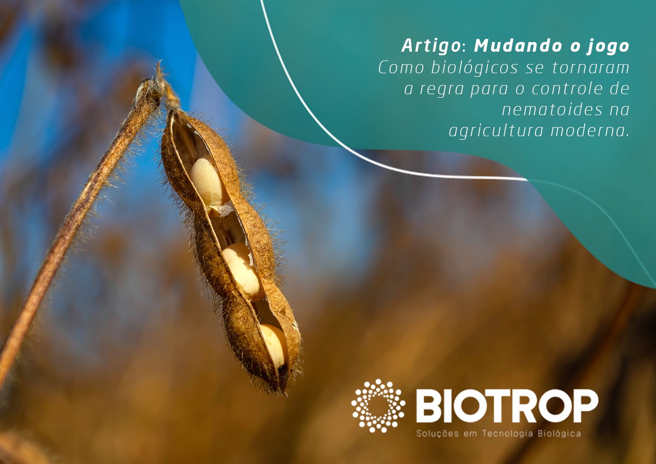 Mudando o jogo - Como biológicos se tornaram a regra para o controle de nematoides na agricultura moderna.