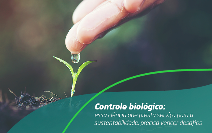 Controle biológico, essa ciência que presta serviço para a sustentabilidade, precisa vencer desafios