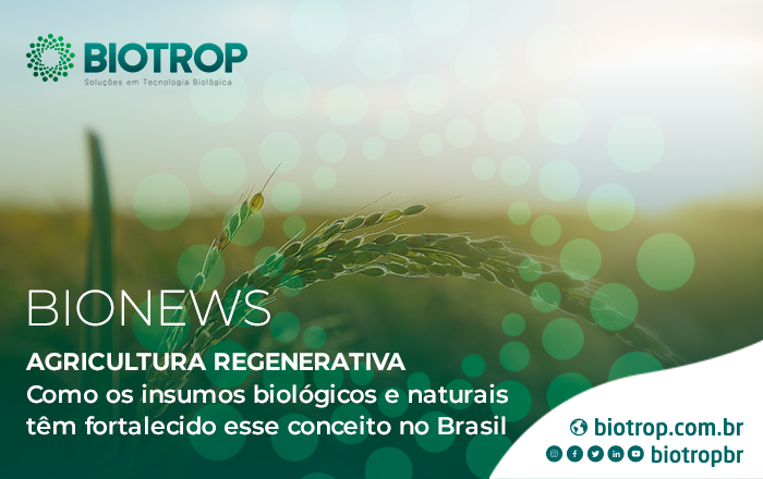 Agricultura Regenerativa: como os biológicos têm fortalecido esse conceito no Brasil