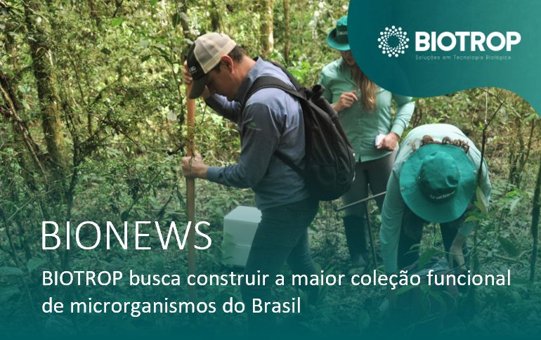 BIOTROP busca construir a maior coleção funcional de microrganismos do Brasil
