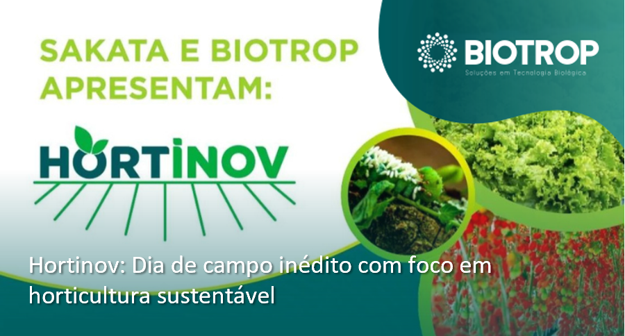 Hortinov: dia de campo inédito com foco em horticultura