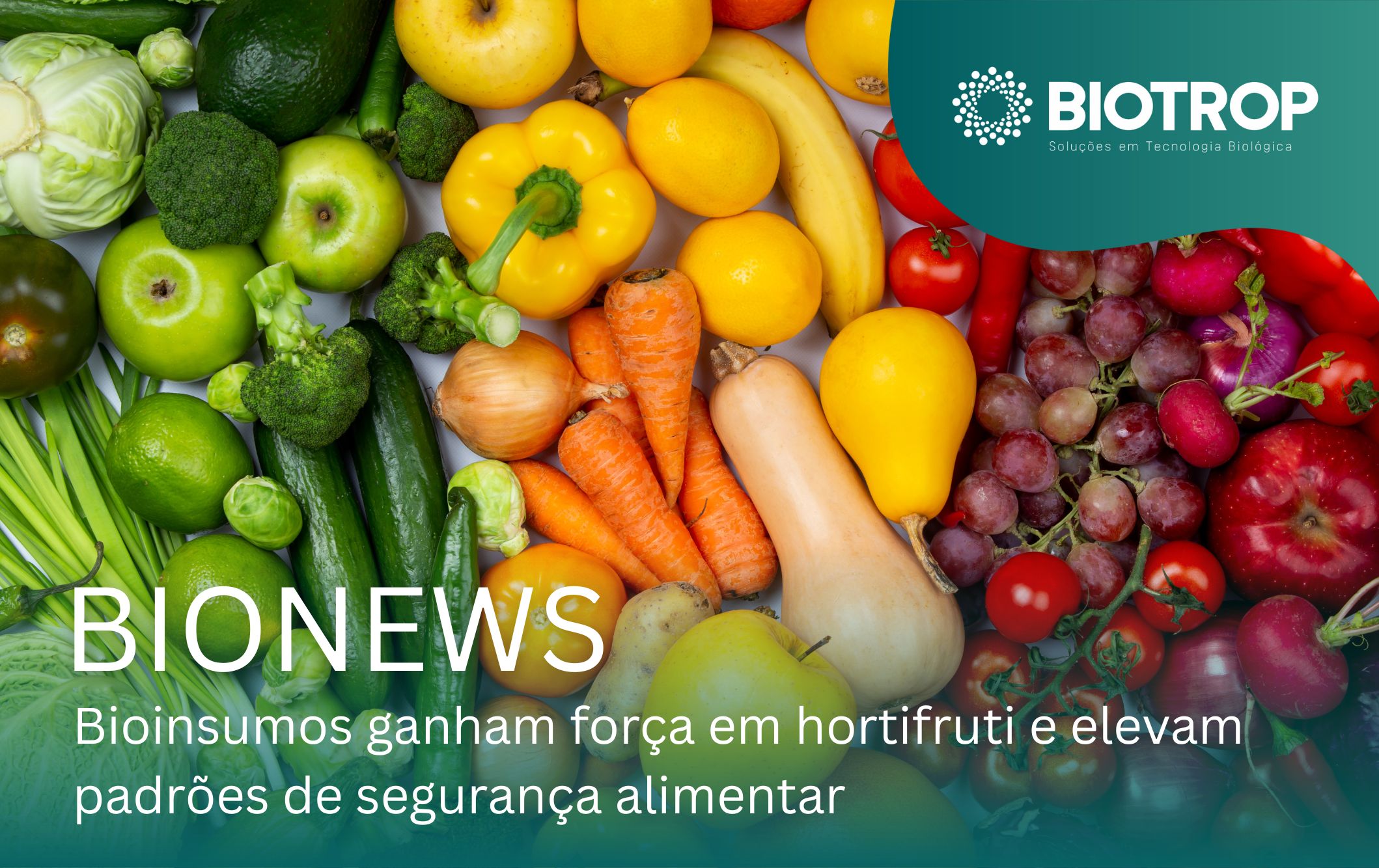 Hortifruti Bioinsumos